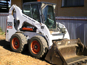 Bobcat
